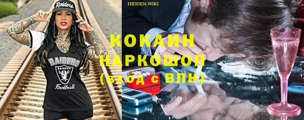 сатива Покачи